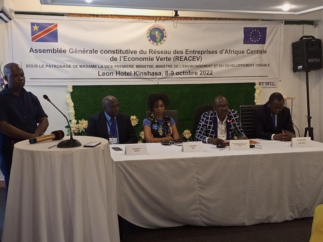 RDC: Le réseau des entreprises d'Afrique Centrale pour l'économie verte ...